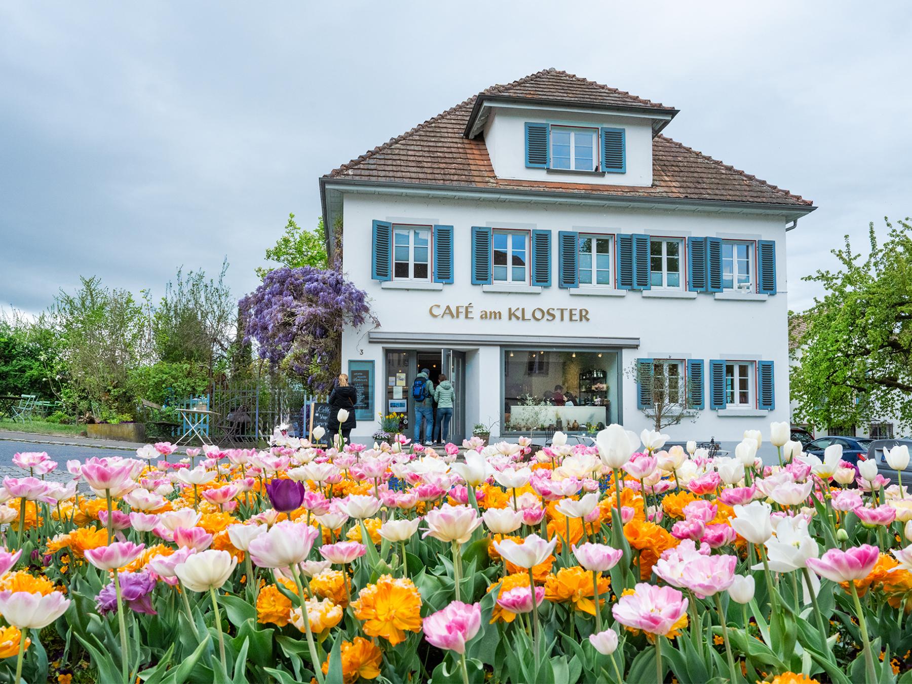 Frühling 
